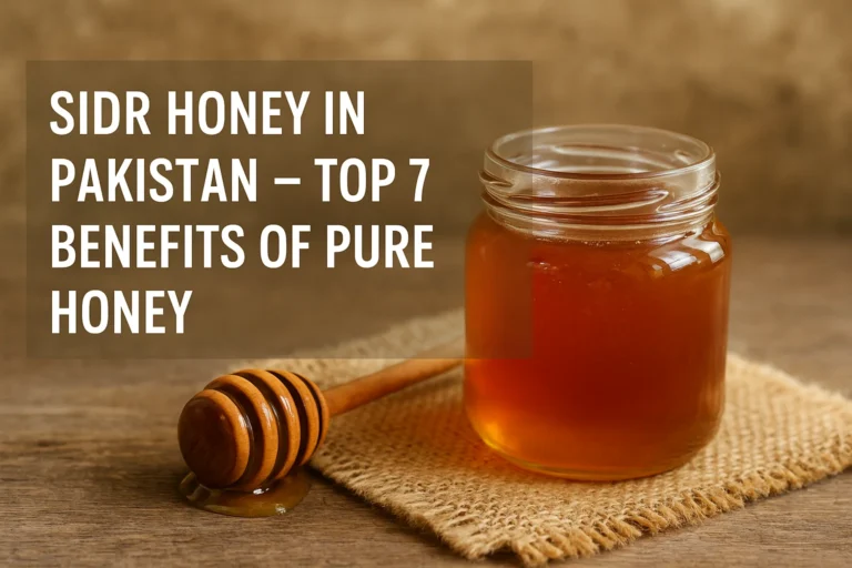 ChatGPT Image Sep 7 2025 03 21 02 AM