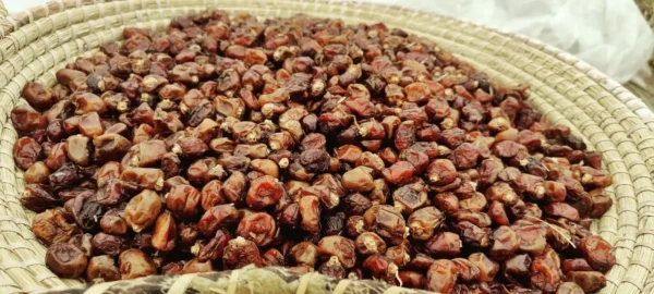 Buy Premium Dhakki Dates in Pakistan | 100% Pesticide Free and Naturally Nutritious
